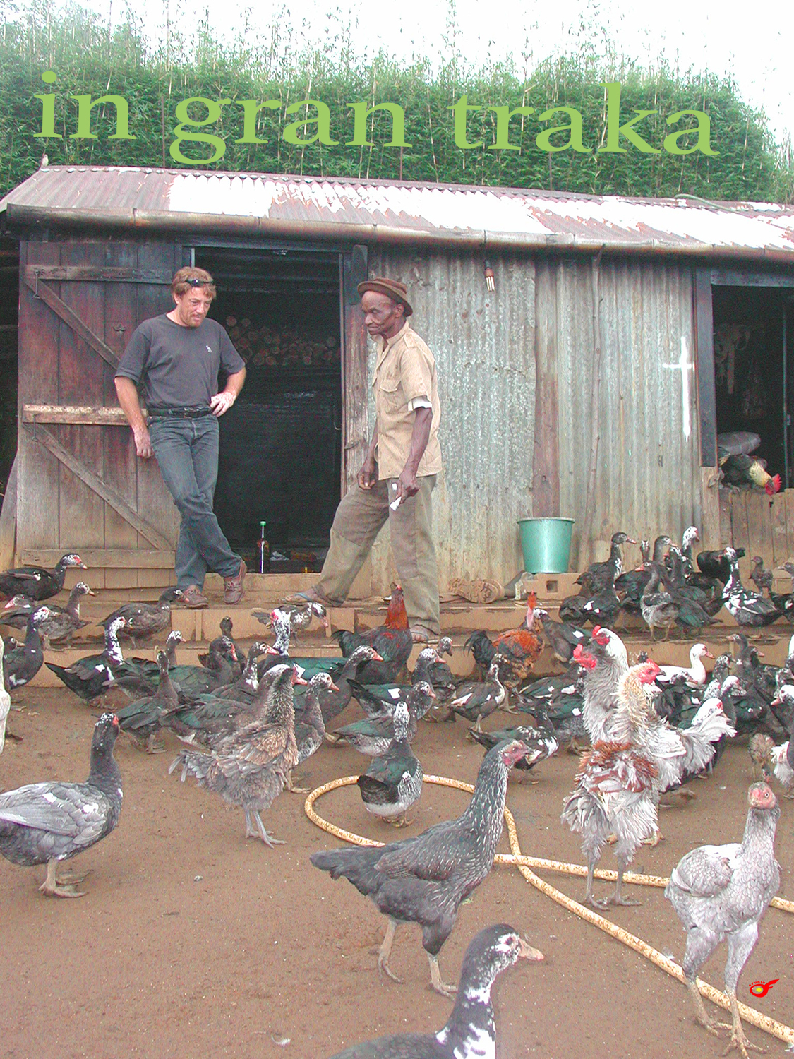 ​La basse-cour et le congélateur