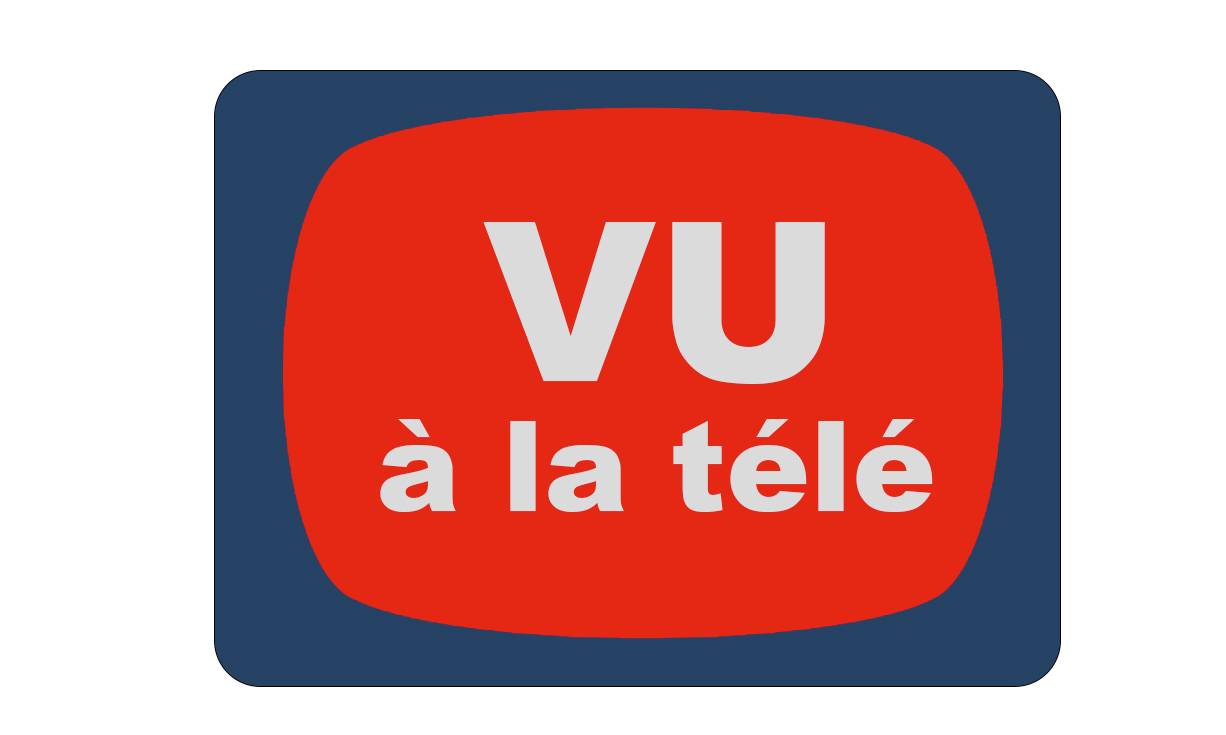 ​C'est la faute à la télévision