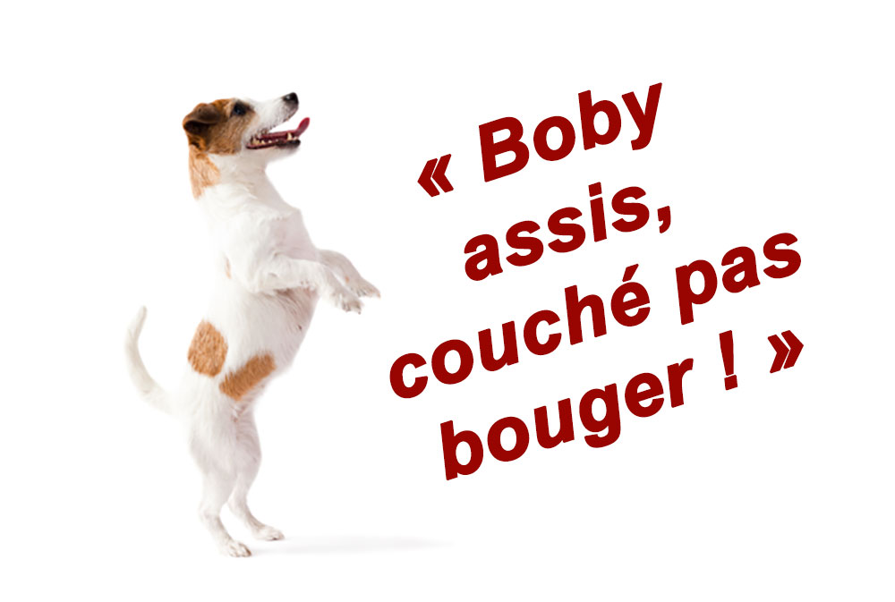​LES INDIGNES