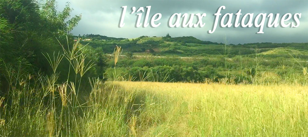 ​LA RÉUNION, L’ILE AUX FATAQUES !