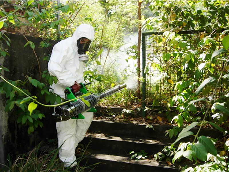 Épidémie de dengue aux Seychelles