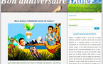 Un blog "anti" Didier Robert sur la toile