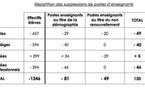 Académie de La Réunion : schéma d'emploi 2012