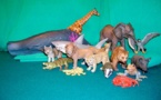 Sanglier = requins ?