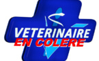 Les vétérinaires ont le mors aux dents
