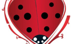Cœur2coccinelle