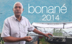 Daniel Médéa : BONANÉ 2014