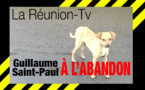 Saint-Paul : "Les habitants du Guillaume à l'abandon"