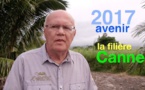 L’exemple politique de la canne à sucre à La Réunion