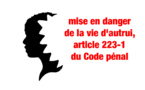 ​Crise requin : Mise en danger de la vie d'autrui, article 223-1 du Code pénal