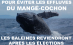 Adieu baleines !