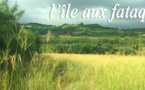 ​LA RÉUNION, L’ILE AUX FATAQUES !