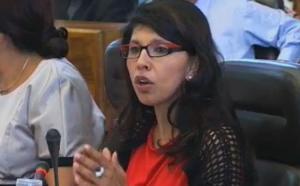 Conseil général : Nassimah Dindar et la majorité départementale à l'épreuve de l'après Législatives