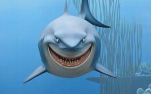 Huile de foie de requin