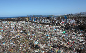 Nono, internaute : "L'incinérateur est l'outil le mieux adapté au traitement des déchets dans l'île"