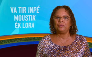 Un secteur d'embellissement pour La Réunion Un secteur d'embellissement pour La Réunion