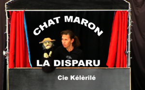 Chat maron la disparu