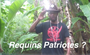 Requins Patriotes ?