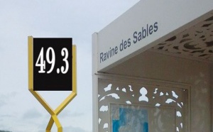 49.3