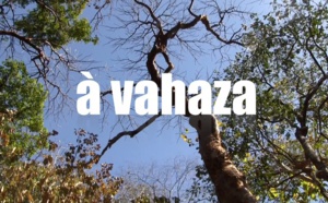 L'arbre à Vahaza
