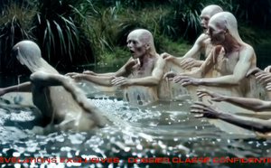 Les dessous d’un complot mondain dans la haute société réunionnaise