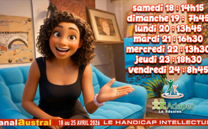 Le Handicap Intellectuel