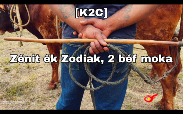 [K2C] Zénit ék Zodiak, 2 béf moka