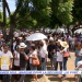 Marche-BELLON-PORT-45