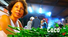coco coco