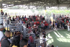 do moune dann ron moring