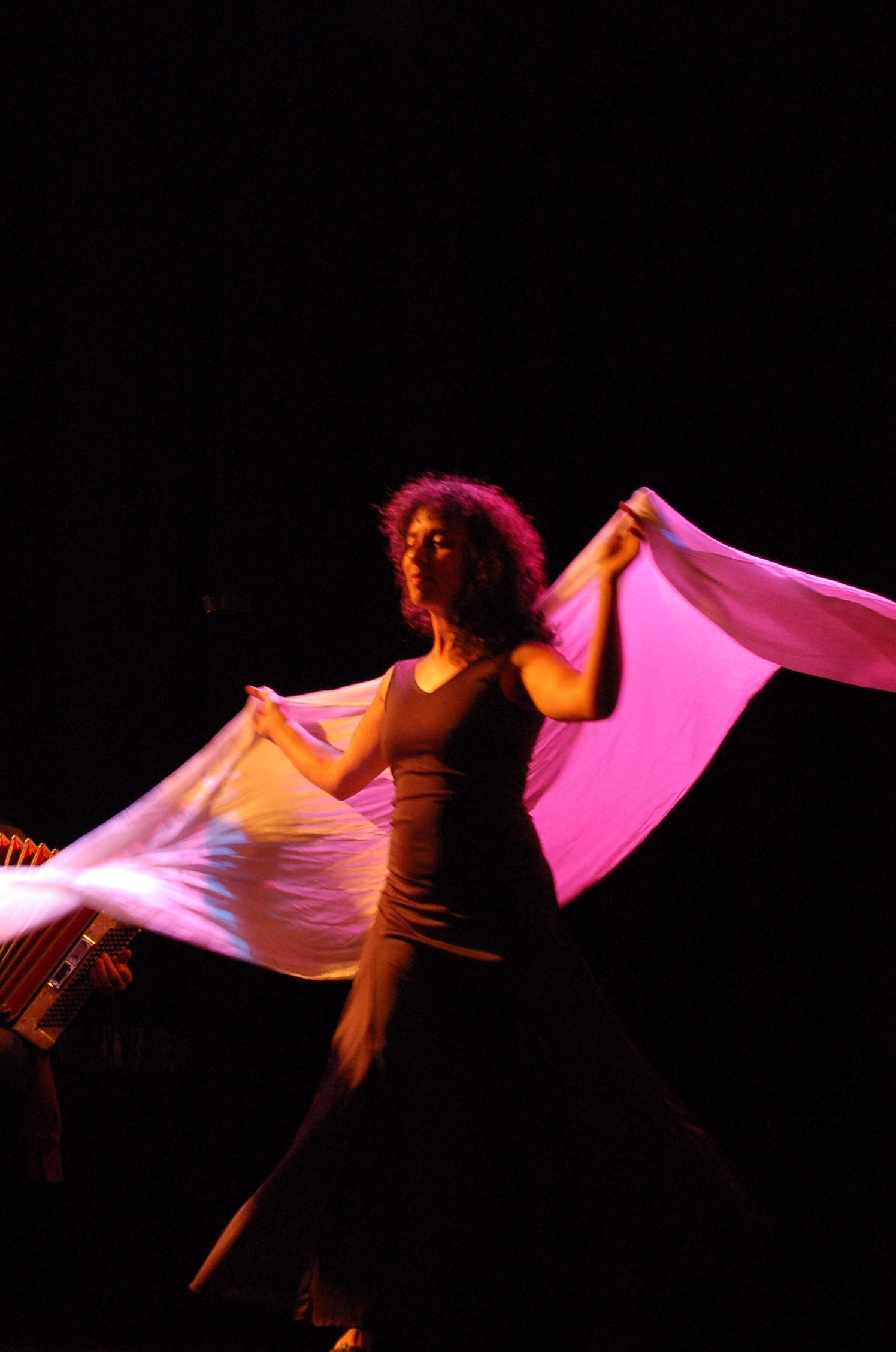 Translucides de Thierry Bertil Translucides de Thierry Bertil