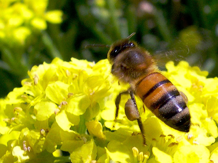 "Produire ce que nous consommons, consommer ce que nous produisons"